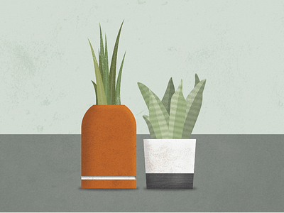 Plants ceramics diego green happy illustration plants san vector