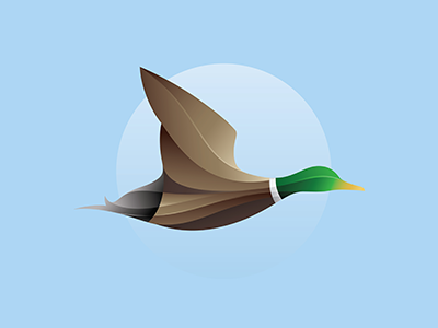 Flying Duck Logo color duck logo flying duck gradient illustration modern