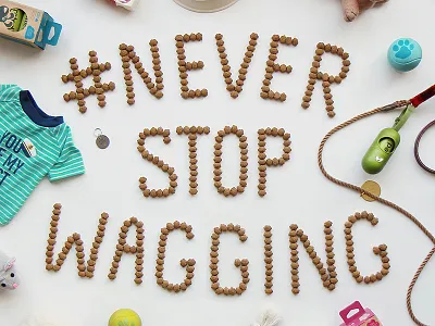 Lifestyle photography art direction balls dogs flatlay kibble photography poop bags toys typography wag