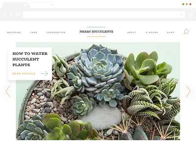 #12 hero plant succulent ui