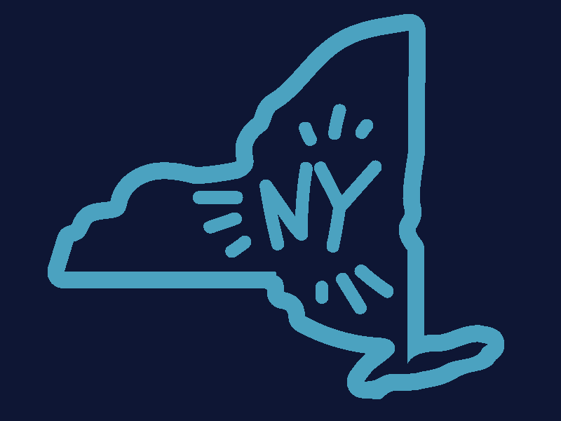 New York State neon new york state