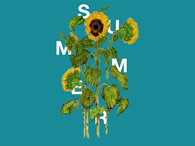 Summer blue design flowers graphic graphic design. graphics green poster summer sunflower typography typography poster yellow