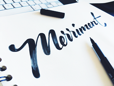 Merriment app branding calligraphy iconic lettering logo script social type web