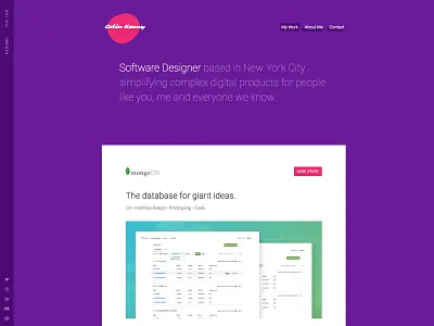 New Portfolio 2017 blue drop shadow material pink portfolio ui ux