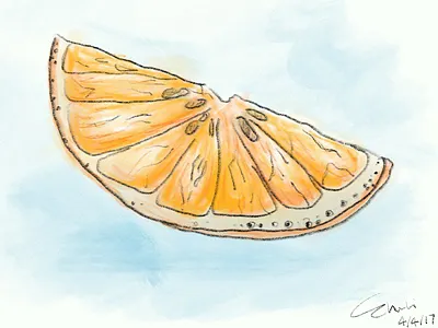 Orange doodling doodling ipadpencil orange procreate