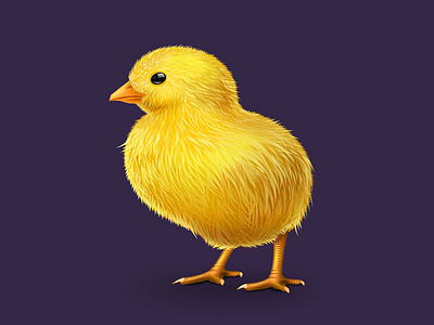 Chick app design interface phone smart tools uerinterface ui visual