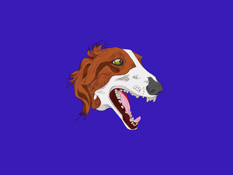 Exploded Borzoi animation illustration