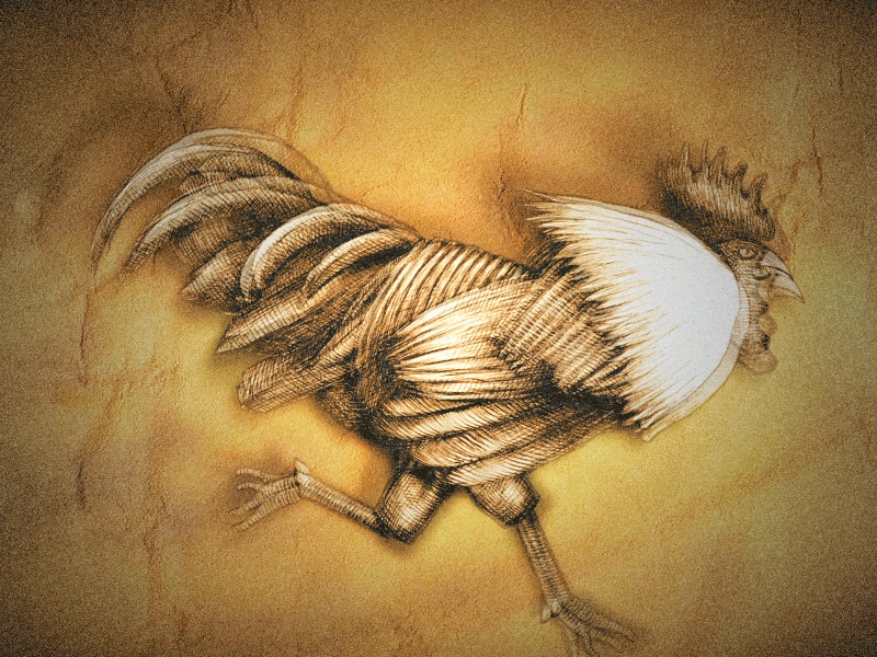 Firebird 2d after animated animation character design effects firebird gif illustration loop looping