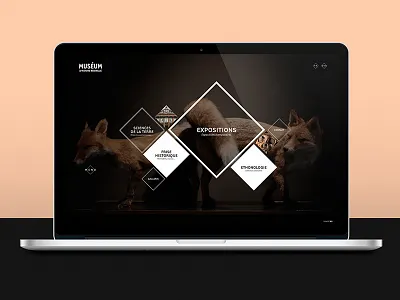 Museum Nantes1 background design flat interface museum nantes site uxui web webdesign