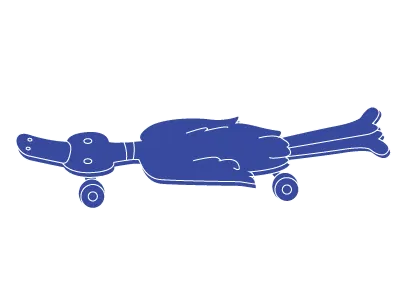 Sk8bird bird illustration sk8 skate skateboard