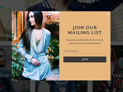 Branded Signup clothing ecommerce fashion newsletter popup ui website