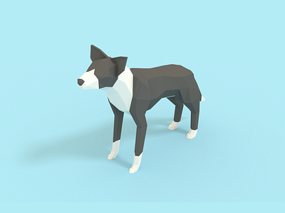 Border Collie 3d blender border collie dog low poly render sheep dog