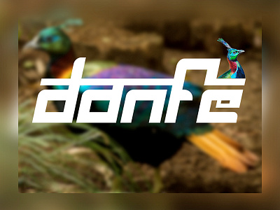 Custom Type Danfe bird danfe logo nepal typography