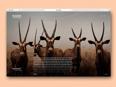Museum Nantes3 background design flat interface museum nantes site uxui web webdesign