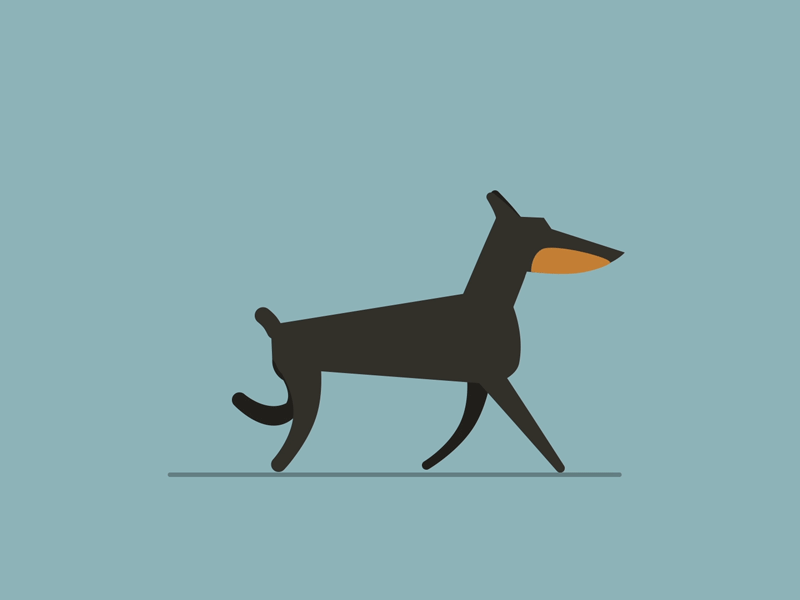 Sunny Strut animation character cycle design doberman dog flat gif illustration vector walk