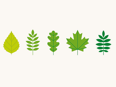 Trees in Sweden green icon leaf minimalistic nature simple tree vector