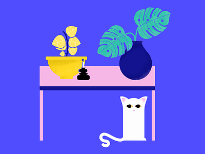 One day I'll have pets adobe candles cats design graphicdesign minimalism motiondesign motiongraphics plants ui