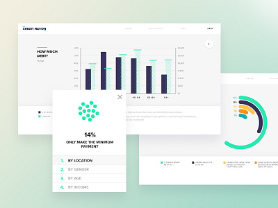 Credit Nation Graphs card chart credit graph green information menu nation ui web