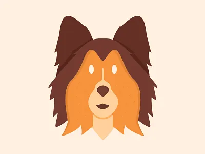 Shetland Sheepdog animals cute design dog flat vector illustration puppy