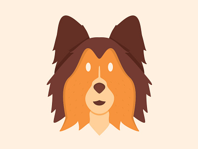 Shetland Sheepdog animals cute design dog flat vector illustration puppy