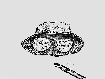 Fear and loathing and fear in las loathing vegas