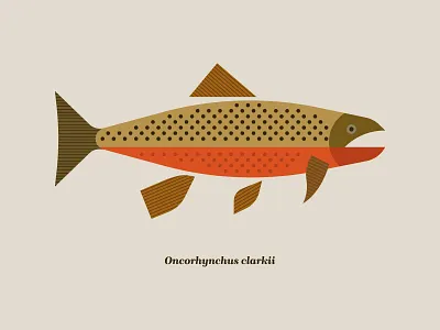 Cutthroat trout cutthroat cutthroat trout fish fishing illustration montana trout