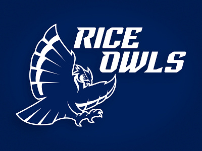 Rice University adidas athletics baseball bird college custom design horn illustration owl talon typography