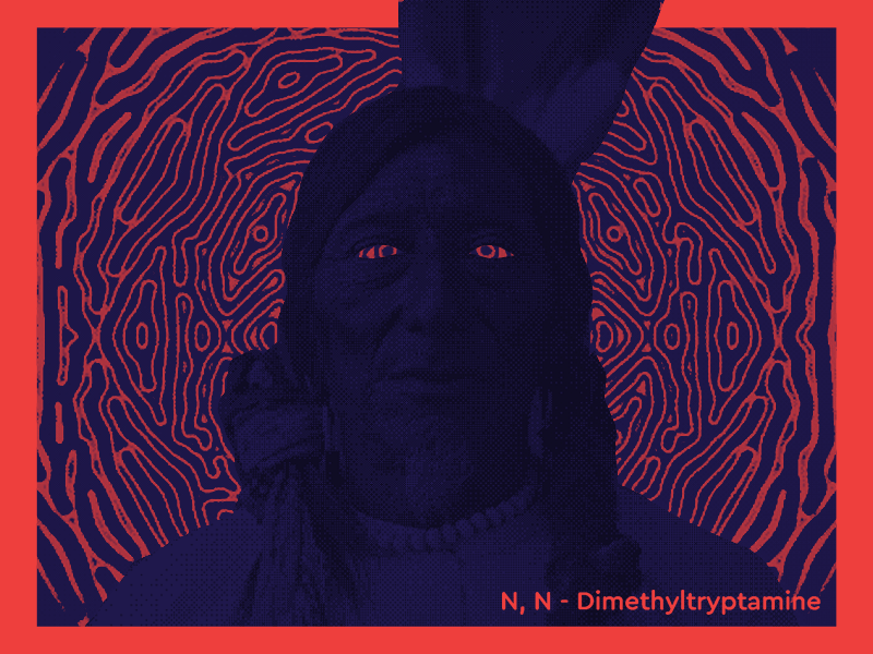 DMT amerindian ayahuasca dmt psilocybin trip