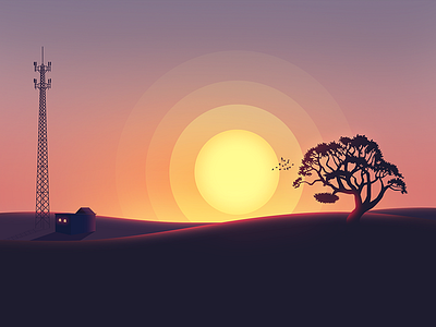 Sunset sunset