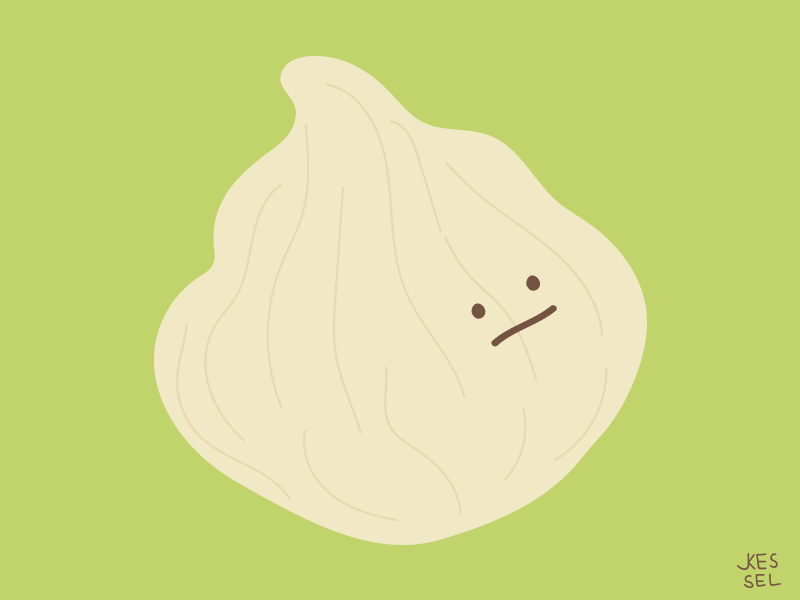 Dumplings dumpling illustration