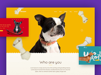 BnB Wordpress Theme for Pet Service animal charity animal hospital animal website best pet websites homepage pet care pet clinic pet shop pet store pet website preschool pet wordpress