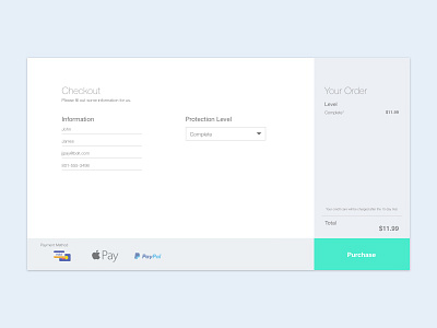 Check out this checkout apple pay checkout colours green pay paypal stripe