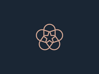 Star Mark branding logo monoline star