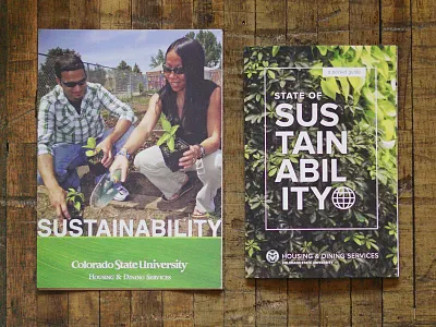 Sustainability Redesign brochure design graphic design redesign sustainability