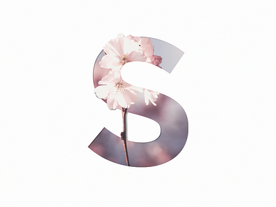 Spring floral flower i love spring photoshop spring type typography