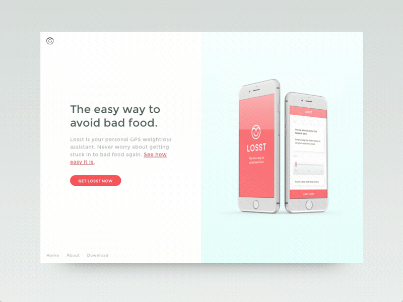 Losst.co Website design animation ui ux web