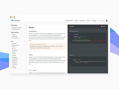 Dev console api browser code colors developers documentation waves