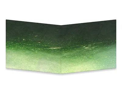 Marrow courgette gourd green macro marrow mightywallet photograph raw vegetable wallet zucchini