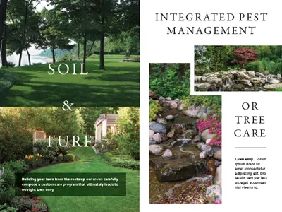 Layout - magazine insert