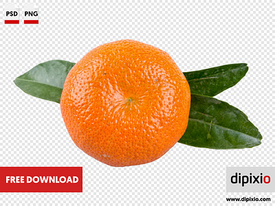 Mandarin with leafs free freebie photo