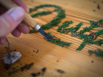 Nature type dirt green leafs nature type typography