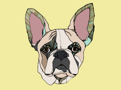 Moose the French Bulldog animal custom portrait french bull dog line work pet pet portrait portrait sorbet