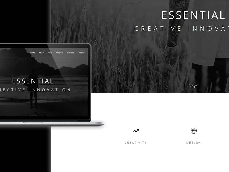 Example of Essential - Theme Preview