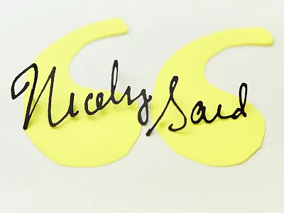 If You Can't Say It Nicely . . . blogging content copy copywriting photography storytelling web