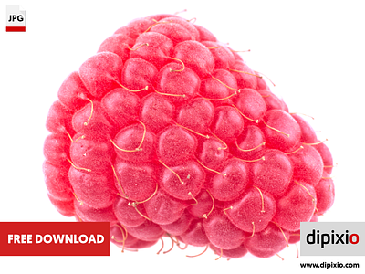 Fresh raspberry free freebie photo