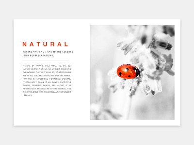 web page10 black design natural simple ui web white