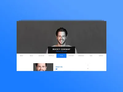 CVitae - Premium Responsive WordPress Resume Intro 10 cv online resume vcard wordpress