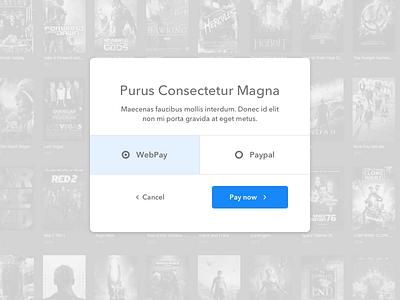 Payment method selection payment paypal ui