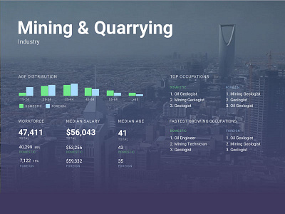 Heavy Data / Data Heavy arabia data design heavy info overlay riyadh saudi vis