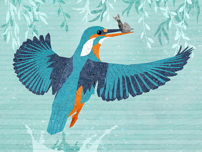 Kingfisher animals birds blue fish flying illustration lake orange turquoise white wings